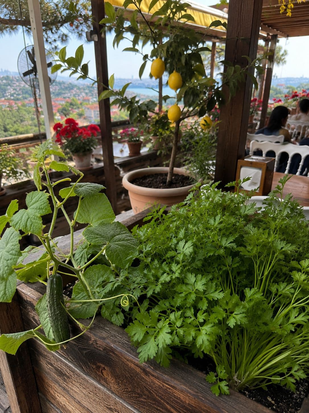 Muhammet Abinin Yeri - 6